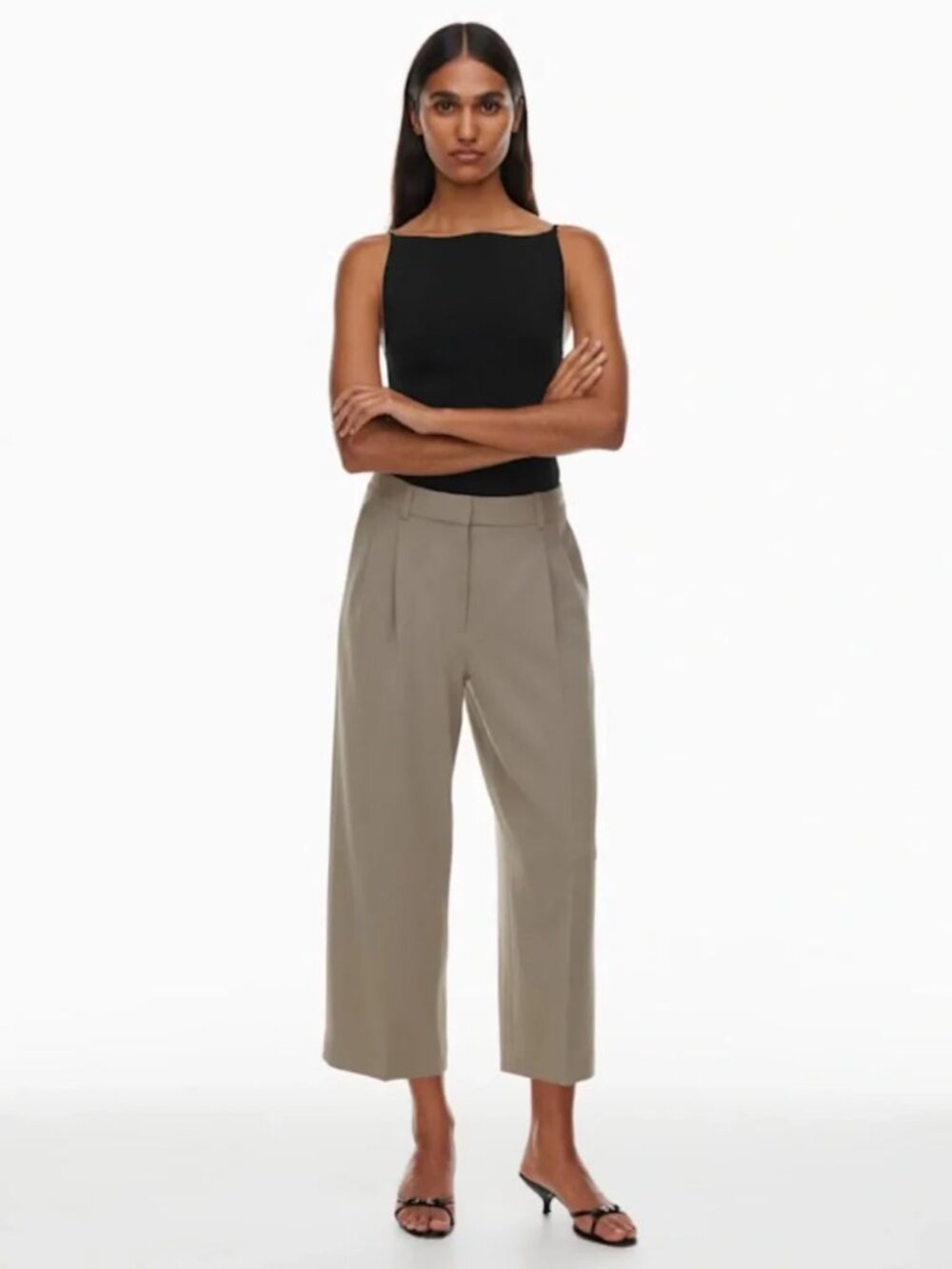 Aritzia Babaton Pleated Cropped Crepe Wide-Leg Pants 6